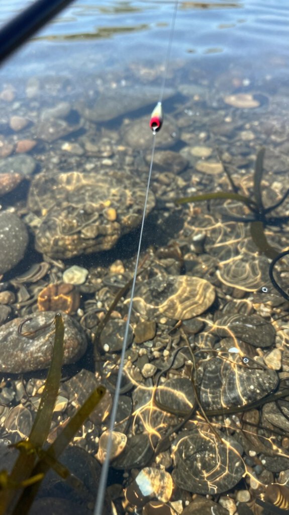 thin dense stealthy line