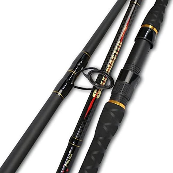 Fiblink 2-Piece Carbon Surf Fishing Rod (12-Feet)